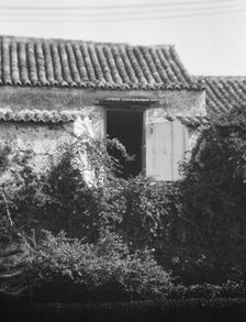 Travel views of Cuba and Guatemala, between 1899 and 1926. Creator: Arnold Genthe