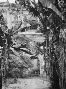 Travel views of Cuba and Guatemala, between 1899 and 1926. Creator: Arnold Genthe