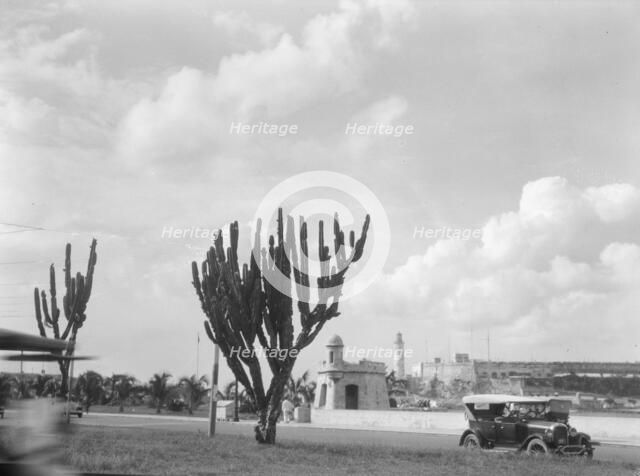 Travel views of Cuba and Guatemala, between 1899 and 1926. Creator: Arnold Genthe.