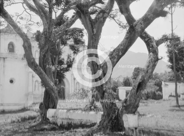 Travel views of Cuba and Guatemala, between 1899 and 1926. Creator: Arnold Genthe.
