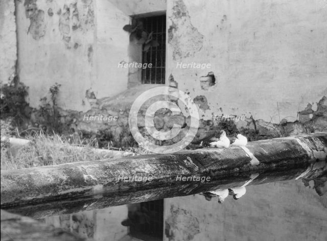 Travel views of Cuba and Guatemala, between 1899 and 1926. Creator: Arnold Genthe.