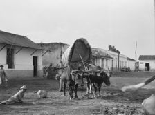 Travel views of Cuba and Guatemala, between 1899 and 1926. Creator: Arnold Genthe