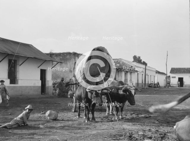 Travel views of Cuba and Guatemala, between 1899 and 1926. Creator: Arnold Genthe.