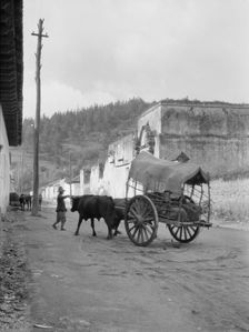 Travel views of Cuba and Guatemala, between 1899 and 1926. Creator: Arnold Genthe