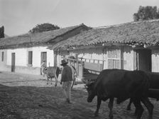 Travel views of Cuba and Guatemala, between 1899 and 1926. Creator: Arnold Genthe