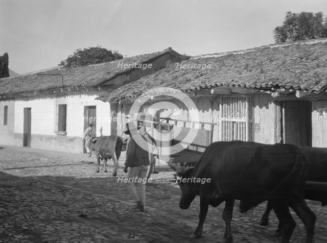 Travel views of Cuba and Guatemala, between 1899 and 1926. Creator: Arnold Genthe.