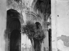 Travel views of Cuba and Guatemala, between 1899 and 1926. Creator: Arnold Genthe