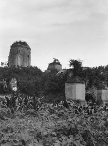 Travel views of Cuba and Guatemala, between 1899 and 1926. Creator: Arnold Genthe