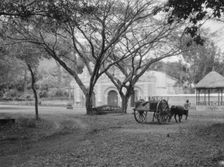 Travel views of Cuba and Guatemala, between 1899 and 1926. Creator: Arnold Genthe