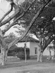 Travel views of Cuba and Guatemala, between 1899 and 1926. Creator: Arnold Genthe