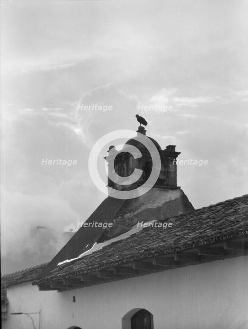 Travel views of Cuba and Guatemala, between 1899 and 1926. Creator: Arnold Genthe.