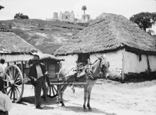 Travel views of Cuba and Guatemala, between 1899 and 1926. Creator: Arnold Genthe