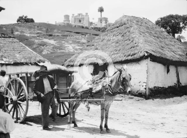 Travel views of Cuba and Guatemala, between 1899 and 1926. Creator: Arnold Genthe.