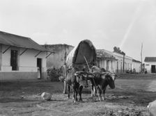 Travel views of Cuba and Guatemala, between 1899 and 1926. Creator: Arnold Genthe