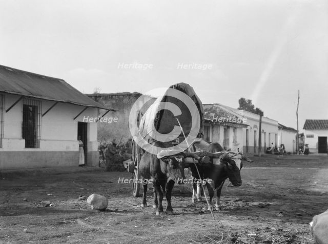 Travel views of Cuba and Guatemala, between 1899 and 1926. Creator: Arnold Genthe.
