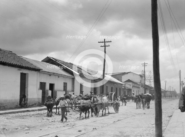 Travel views of Cuba and Guatemala, between 1899 and 1926. Creator: Arnold Genthe.