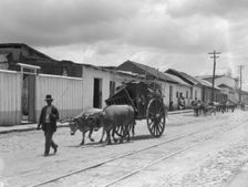 Travel views of Cuba and Guatemala, between 1899 and 1926. Creator: Arnold Genthe