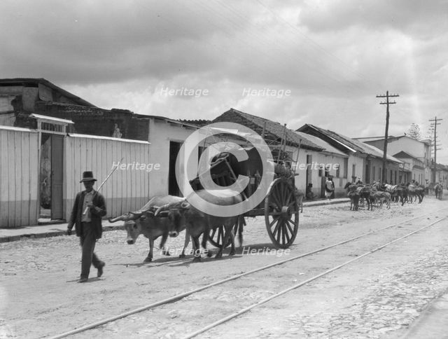 Travel views of Cuba and Guatemala, between 1899 and 1926. Creator: Arnold Genthe.