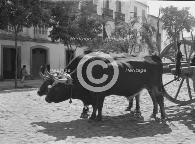 Travel views of Europe, between 1904 and 1938. Creator: Arnold Genthe.