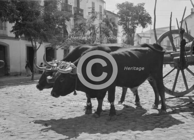 Travel views of Europe, between 1904 and 1938. Creator: Arnold Genthe.