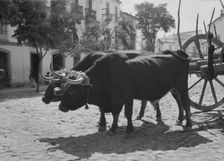 Travel views of Europe, between 1904 and 1938. Creator: Arnold Genthe