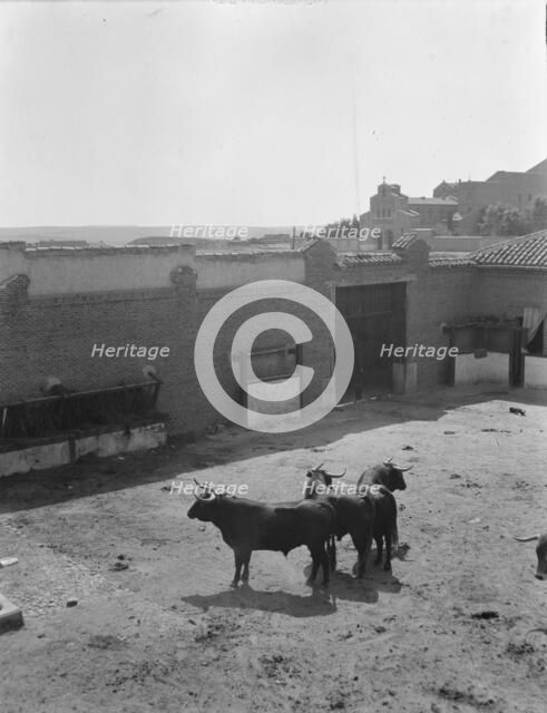 Travel views of Europe, between 1904 and 1938. Creator: Arnold Genthe.