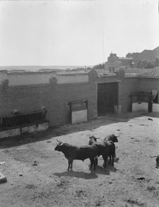 Travel views of Europe, between 1904 and 1938. Creator: Arnold Genthe