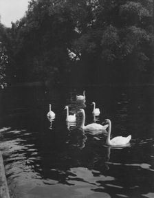 Travel views of Europe, between 1904 and 1938. Creator: Arnold Genthe