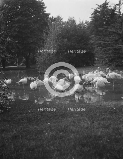 Travel views of Europe, between 1904 and 1938. Creator: Arnold Genthe.