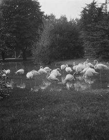 Travel views of Europe, between 1904 and 1938. Creator: Arnold Genthe