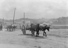 Travel views of Europe, between 1904 and 1938. Creator: Arnold Genthe