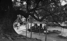 Travel views of Japan and Korea, 1908. Creator: Arnold Genthe