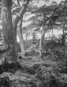 Travel views of Japan and Korea, 1908. Creator: Arnold Genthe