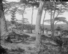 Travel views of Japan and Korea, 1908. Creator: Arnold Genthe