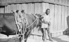 Travel views of Japan and Korea, 1908. Creator: Arnold Genthe