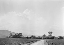 Travel views of Japan and Korea, 1908. Creator: Arnold Genthe