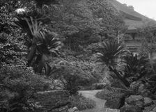 Travel views of Japan and Korea, 1908. Creator: Arnold Genthe