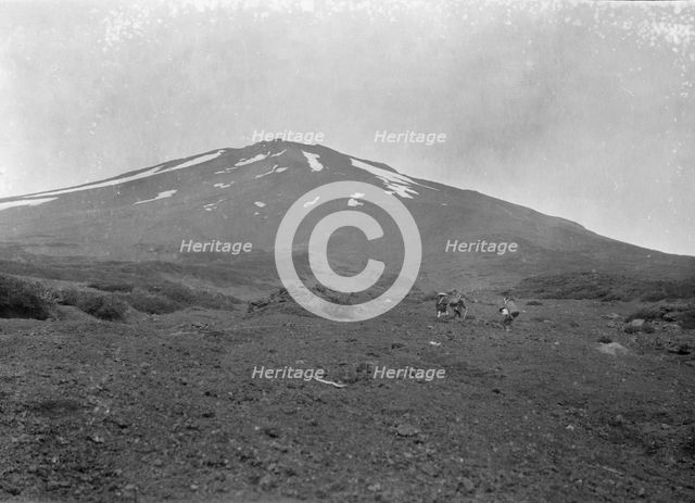 Travel views of Japan and Korea, 1908. Creator: Arnold Genthe.