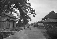 Travel views of Japan and Korea, 1908. Creator: Arnold Genthe