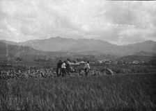 Travel views of Japan and Korea, 1908. Creator: Arnold Genthe
