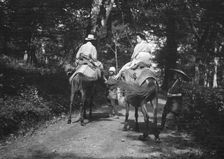 Travel views of Japan and Korea, 1908. Creator: Arnold Genthe