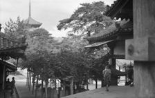 Travel views of Japan and Korea, 1908. Creator: Arnold Genthe