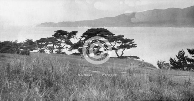 Travel views of Japan and Korea, 1908. Creator: Arnold Genthe.