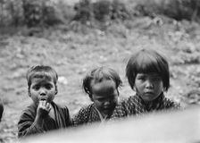 Travel views of Japan and Korea, 1908. Creator: Arnold Genthe