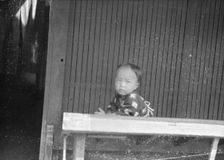Travel views of Japan and Korea, 1908. Creator: Arnold Genthe