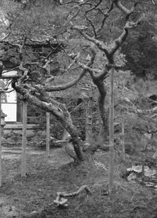 Travel views of Japan and Korea, 1908. Creator: Arnold Genthe