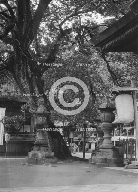 Travel views of Japan and Korea, 1908. Creator: Arnold Genthe.