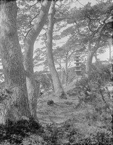 Travel views of Japan and Korea, 1908. Creator: Arnold Genthe