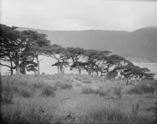 Travel views of Japan and Korea, 1908. Creator: Arnold Genthe