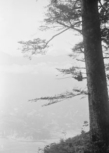 Travel views of Japan and Korea, 1908. Creator: Arnold Genthe